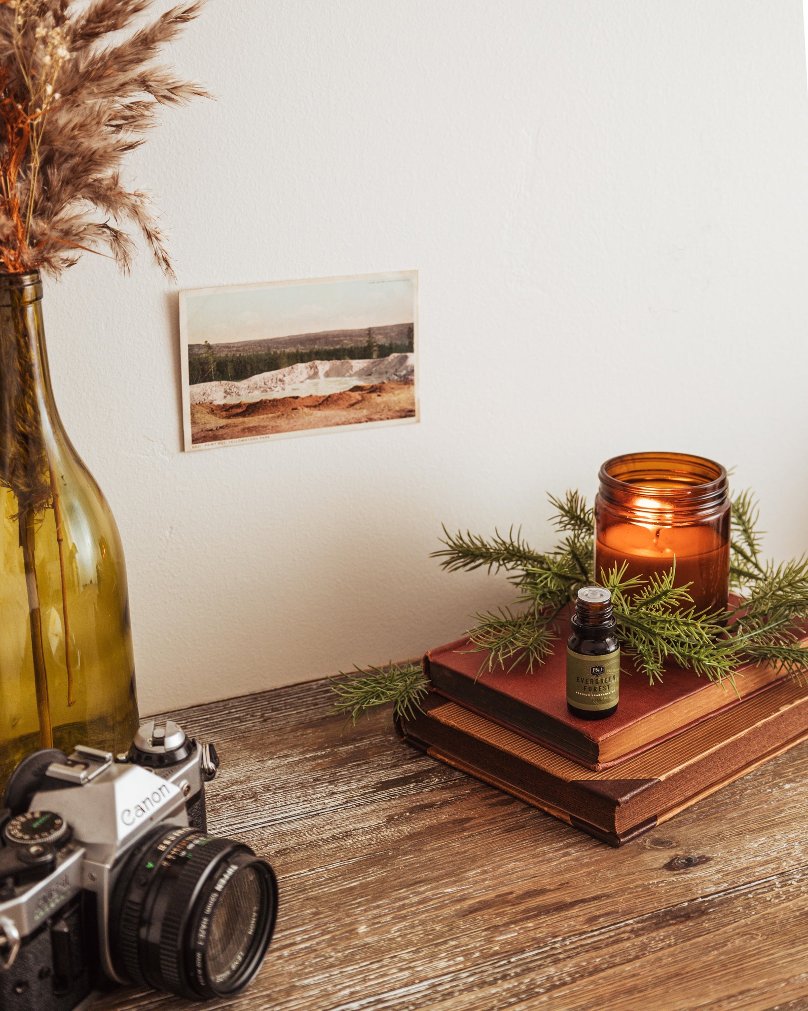 Evergreen Forest Fragrance