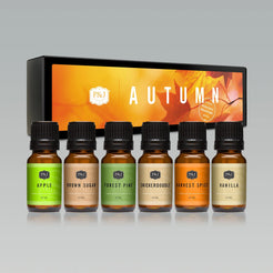Autumn Set of 6 Fragrance Oils 10ml
